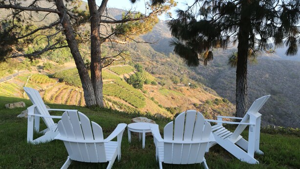 Two white Adirondack chairs and a small table on a grassy hillside with a view of terraced vineyards and hills in the background. - Malibu Getaway-Relaxation Destination-Ocean view-Beaches, Hiking, Shops, Dining (Malibu)