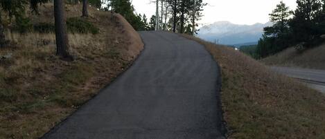 A paved road curving through a natural landscape with trees on both sides.