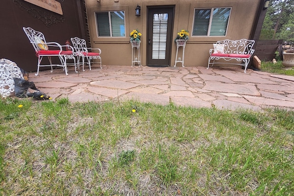 テラス / パティオ