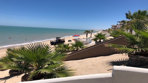 Une vue sur la plage, avec une zone de sable, des palmiers et un ciel bleu dégagé.