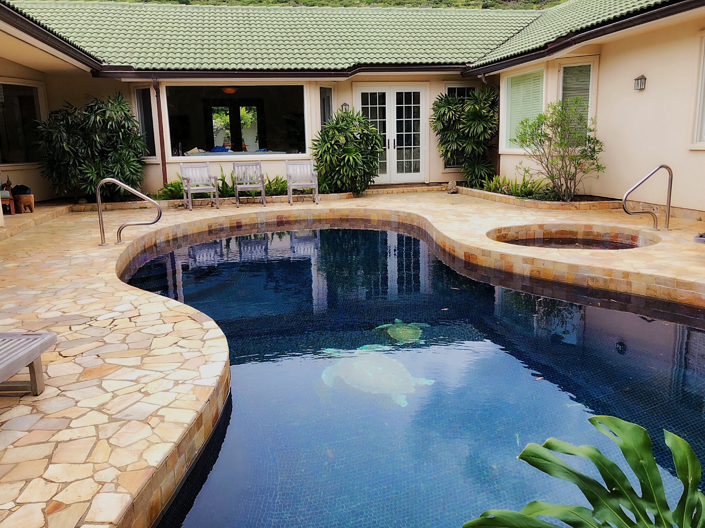 🌺Peaceful private luxury home. Pool hottub Gourmet kitchen. Contact 808-781-1741