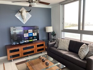 Smart-TV, Netflix, DVD-spiller og bøker