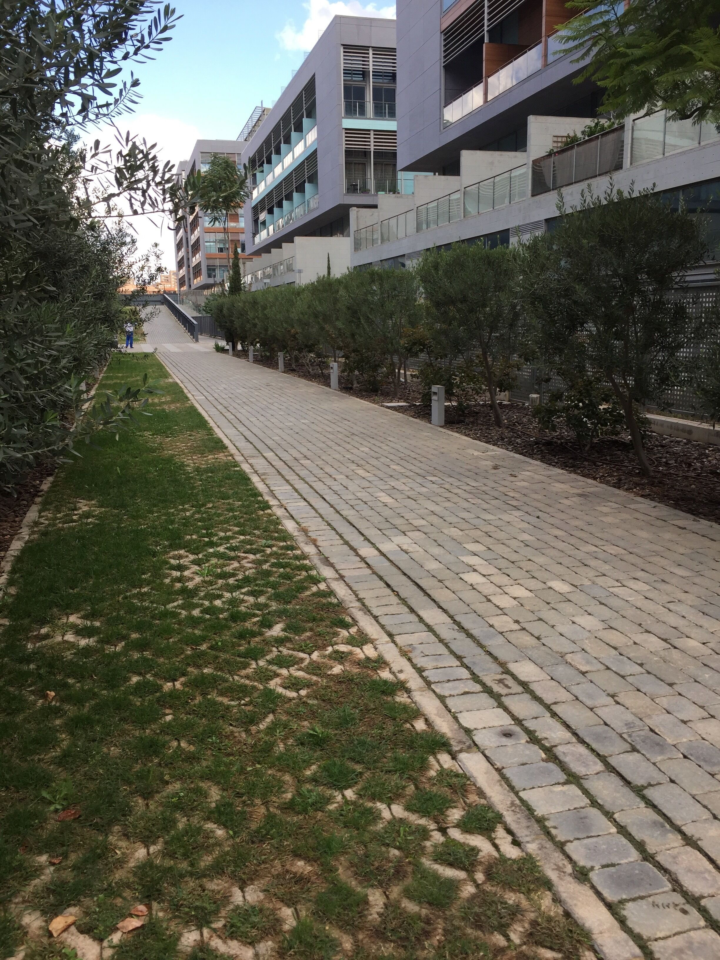 Un camino pavimentado bordeado de vegetación y edificios modernos con balcones.