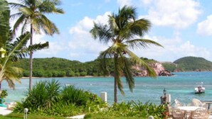 A tropical resort with palm trees, a pool, and a view of the sea. - Playa Linda - St. Thomas Oceanfront Studio Condo at Pool & Bolongo Beach, USVI (St. Thomas)