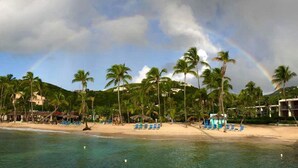 A beach with palm trees, a rainbow, and a clear sky. - Playa Linda - St. Thomas Oceanfront Studio Condo at Pool & Bolongo Beach, USVI (St. Thomas)