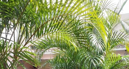 Einzigartiges Haus im mediterranen Stil mit Atrium, Pool und schönem Garten