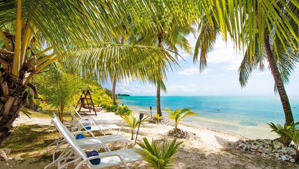 Une plage avec des chaises longues blanches, des palmiers et une vue dégagée sur l’océan.