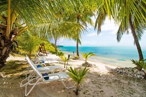 A beach with white lounge chairs, palm trees, and a clear view of the ocean.