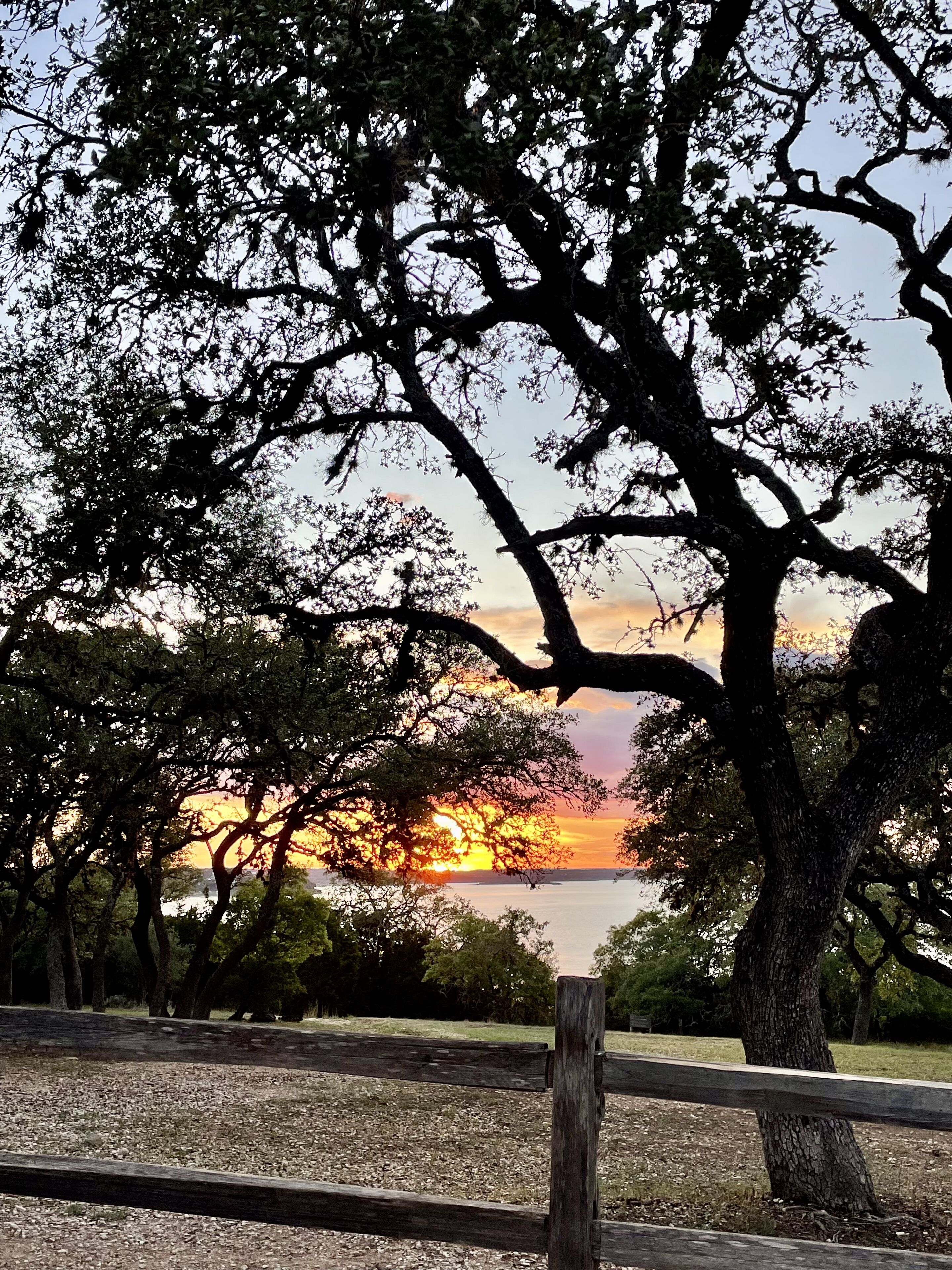Una vista al atardecer a través de un parque con árboles y una cerca de madera.