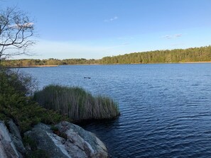 Unclassified image, 3 of 15, button