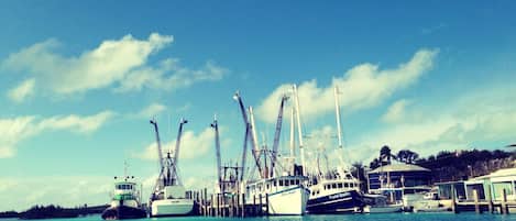 Marina