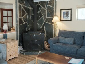 Fireplace, DVD player, toys, books