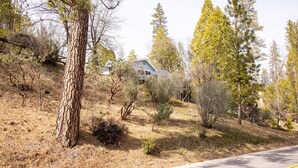 Une maison entourée d’arbres et d’herbe sèche.