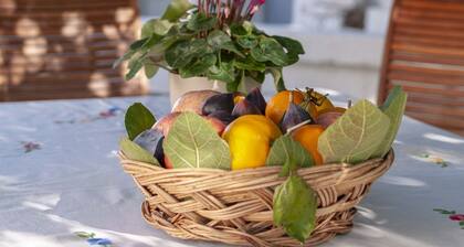 Trulli authentiques et charmants dans la campagne de Monopoli