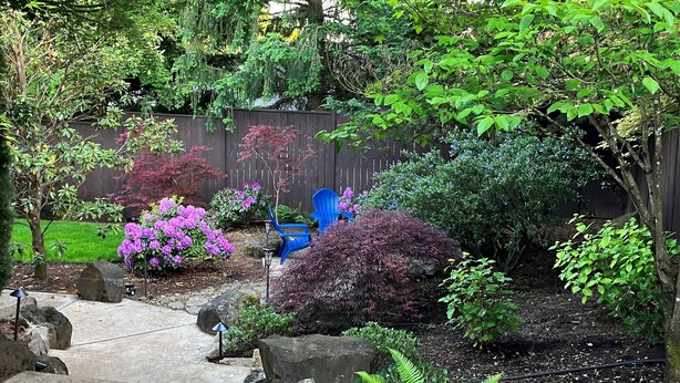 A garden pathway with a wooden fence, various shrubs, and a blue chair. - Spacious Single Party B&B – walking distance to downtown!  (Dundee)