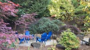 A patio area with blue chairs and a table, surrounded by various plants and trees. - Spacious Single Party B&B – walking distance to downtown!  (Dundee)