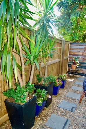 Stroll through the serene garden, surrounded by lush potted plants and a tranquil seating area.