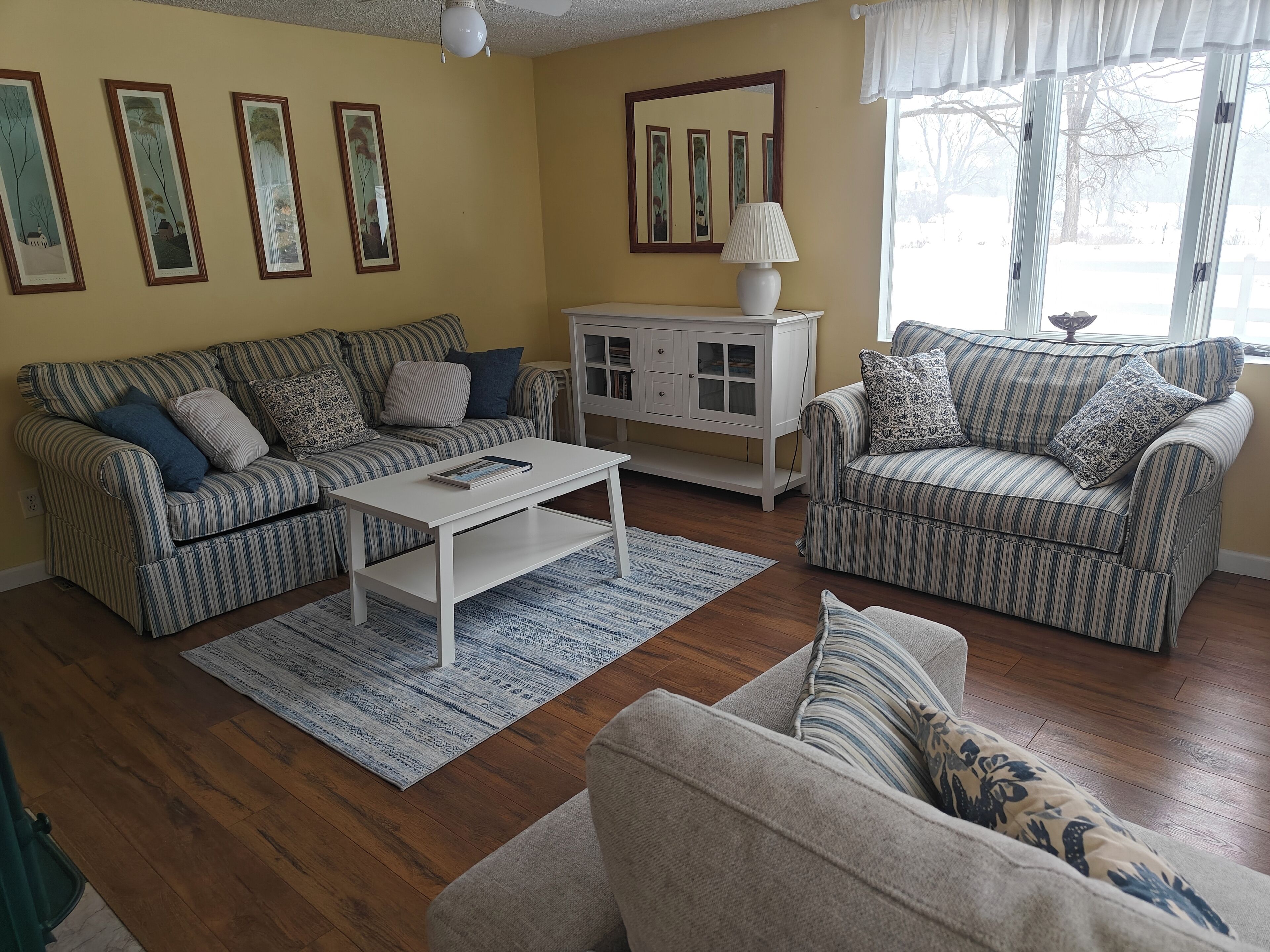 Flat-screen TV, fireplace, DVD player