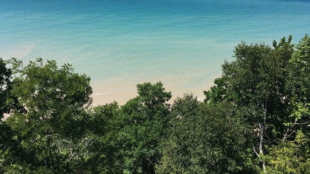 A coastal view with clear turquoise waters, a sandy beach, and dense green foliage in the foreground.