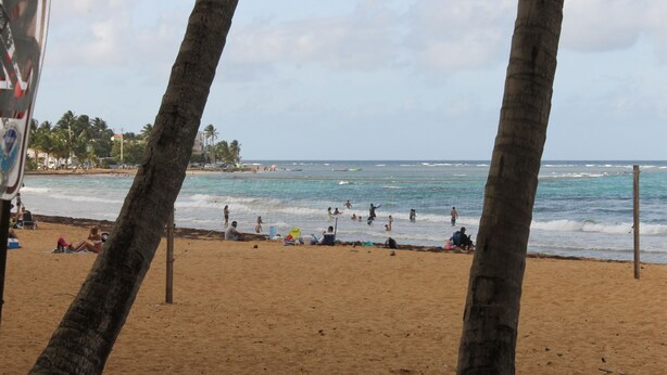 Ein Strand mit Palmen, Menschen entspannen im Sand und das Meer im Hintergrund.
