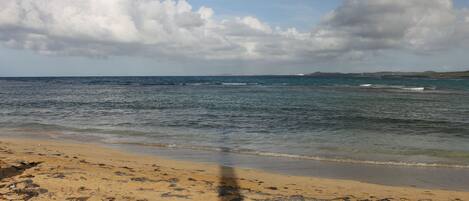 In Strandnähe, Strandtücher