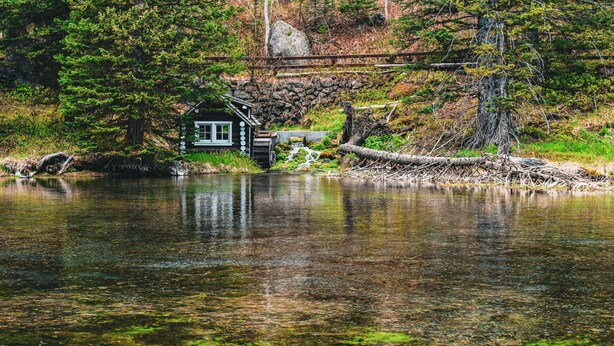 Una baita accanto a un lago, circondata da alberi.