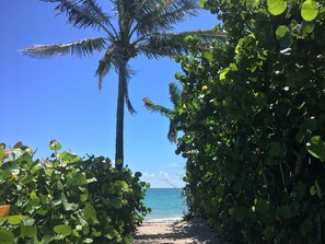 On the beach, sun-loungers, beach towels