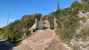 Un camino pavimentado que conduce a una entrada con puerta, rodeada de follaje y un cielo azul despejado.
