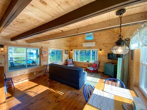 Smart TV, DVD player, books, video library