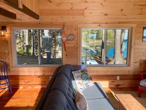 Smart TV, DVD player, books, video library