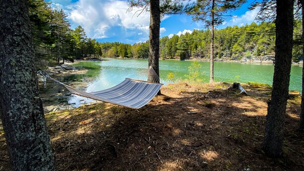 Eine Hängematze zwischen Bäumen mit Blick auf einen stillen See, der von einem Wald umgeben ist.