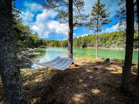 Property grounds. Cove Cottage: Quietly Nestled Between The Pines Of Tranquil Seavey Cove