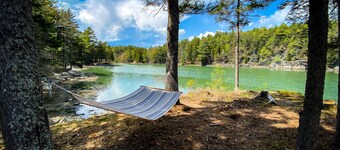 Cove Cottage: Quietly Nestled Between The Pines Of Tranquil Seavey Cove
