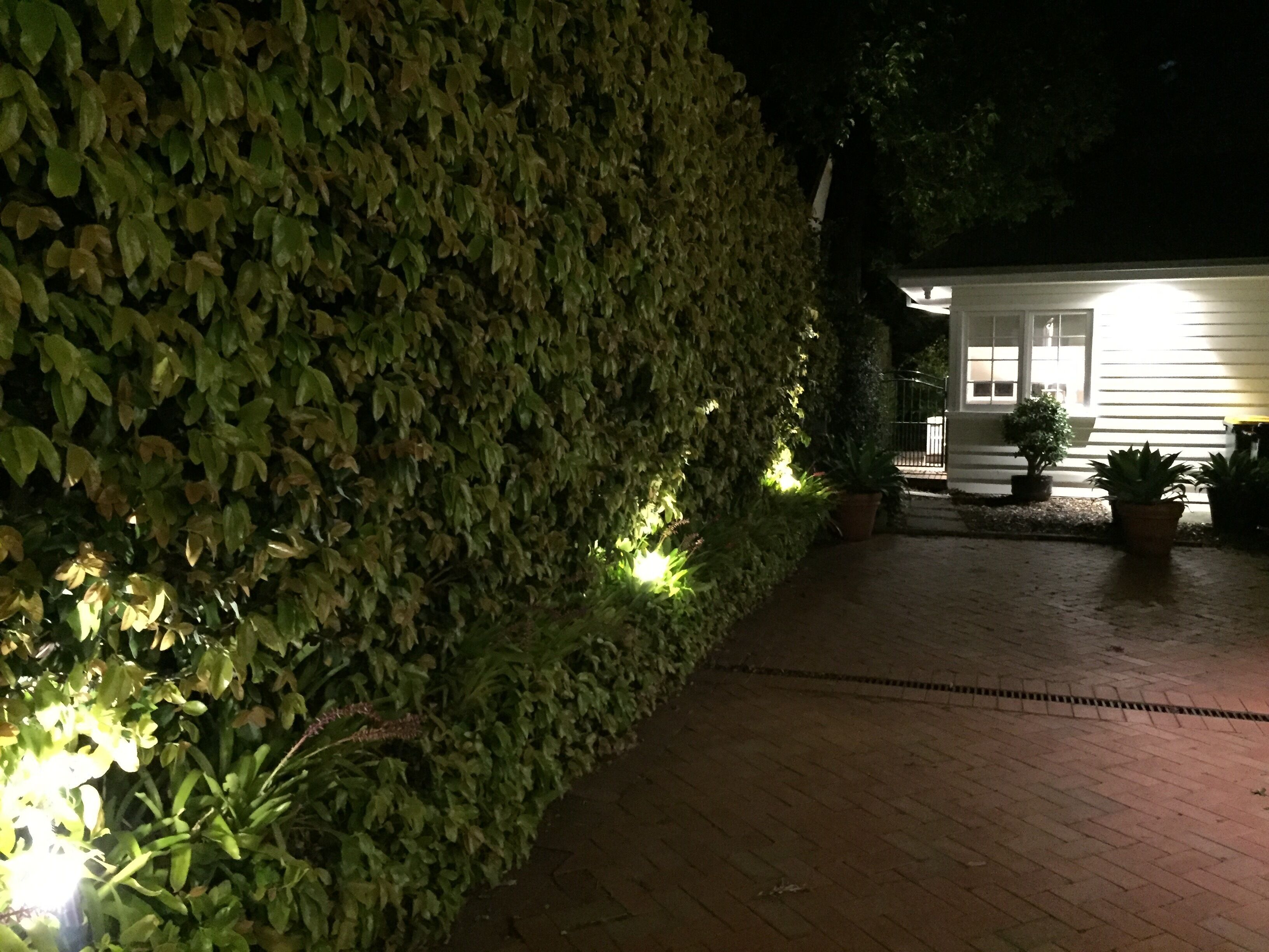 Manly Sunshine Cottage - quiet family retreat — image 30