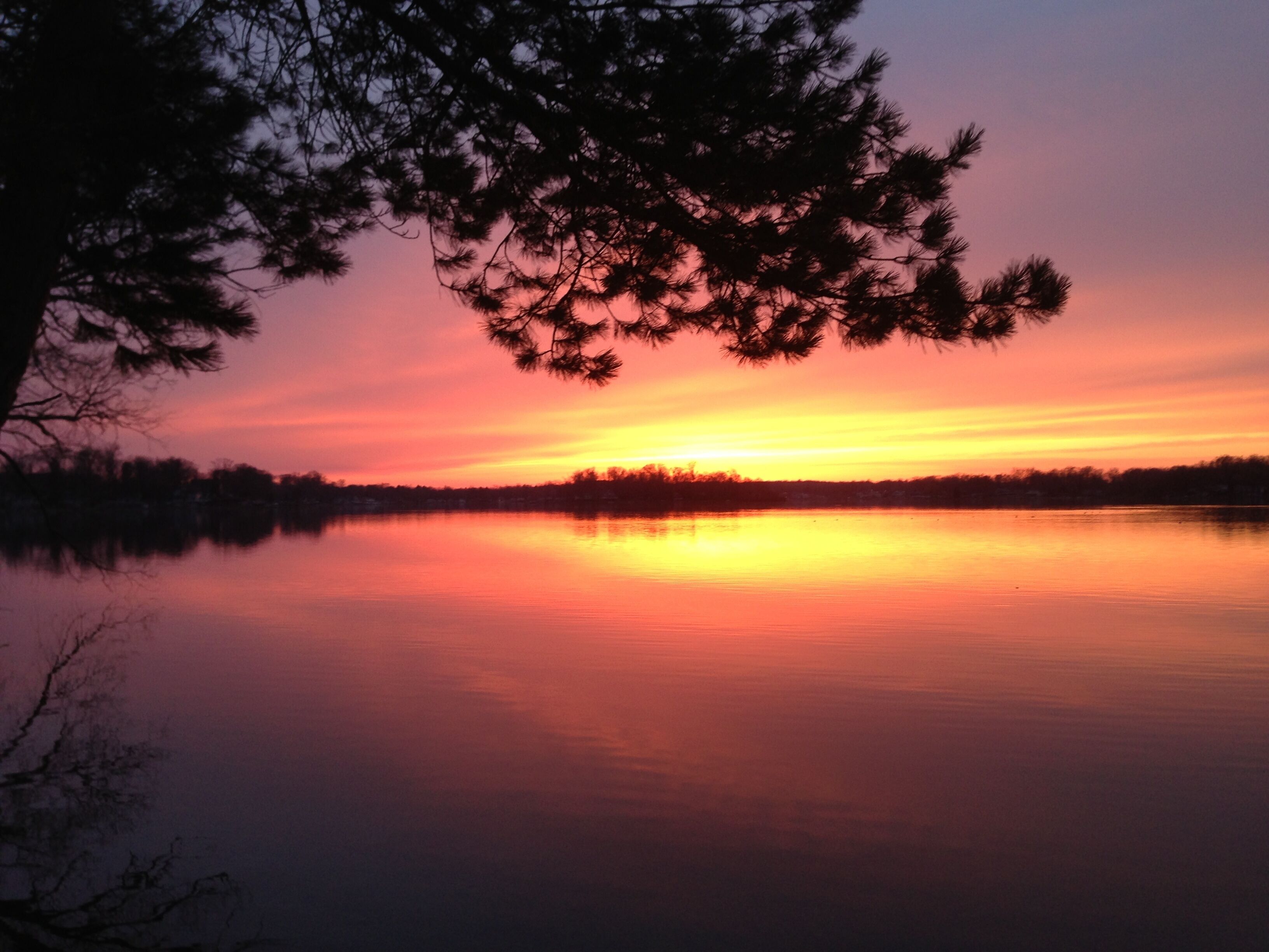 A calm lake at sunset with a tree silhouetted against the sky.