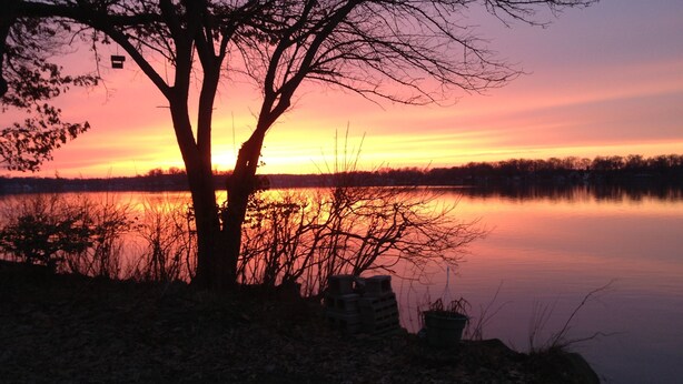 A tree in the foreground with a sunset in the background. - Herons Nest at Viewpoint Beach channel on Magician Lake, Sister Lakes, MI 49047 (Sister Lakes)