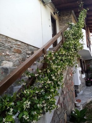 Détail de l’extérieur