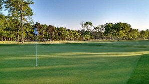 Ein Golfplatz mit Fahnenstange, umgeben von Bäumen und blauem Himmel.
