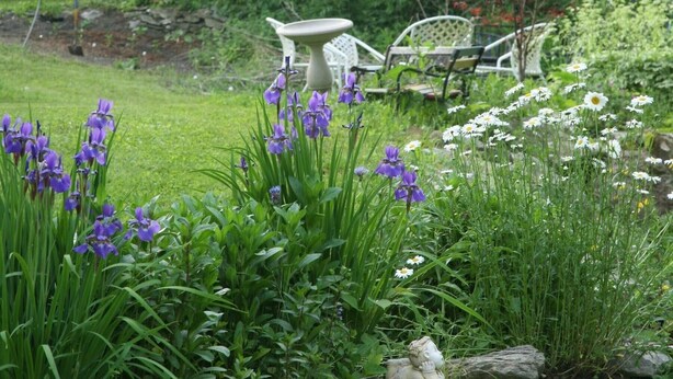 Un jardín con diversas flores, una escultura de piedra y un edificio blanco al fondo.