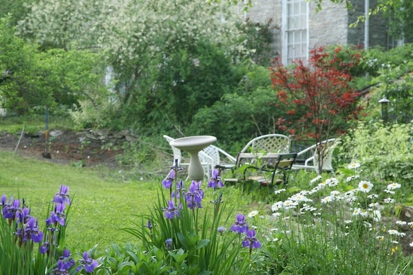 Servei de restauració a l'aire lliure