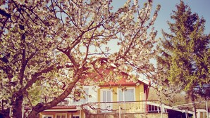 A yellow house with a stone facade, a balcony, and a tree with white blossoms in front. - Clean Nature & Beautiful View (Balchik)