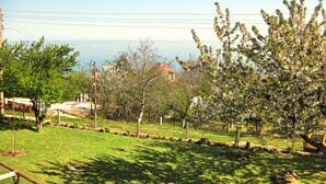 A grassy area with trees and a clear view of the sky. - Clean Nature & Beautiful View (Balchik)