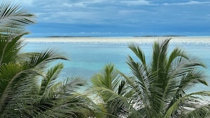 A tropical beach with palm trees and a clear view of the ocean. - Bonefish Bella Vista - Beachfront Retreat, Tropical Garden & Natural Ocean Pool (Georgetown)