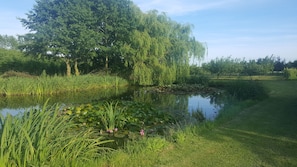 Property grounds - Agermosegaard Hyggeligt Feriehus – Landlig idyl i Barløse, Fyn Golf & Cykelruter (Assens)