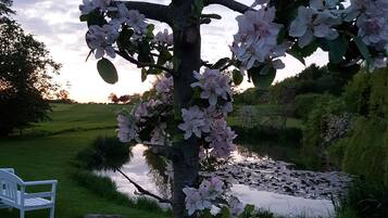 Ein Garten mit einer Bank und einem Baum mit rosa Blüten.