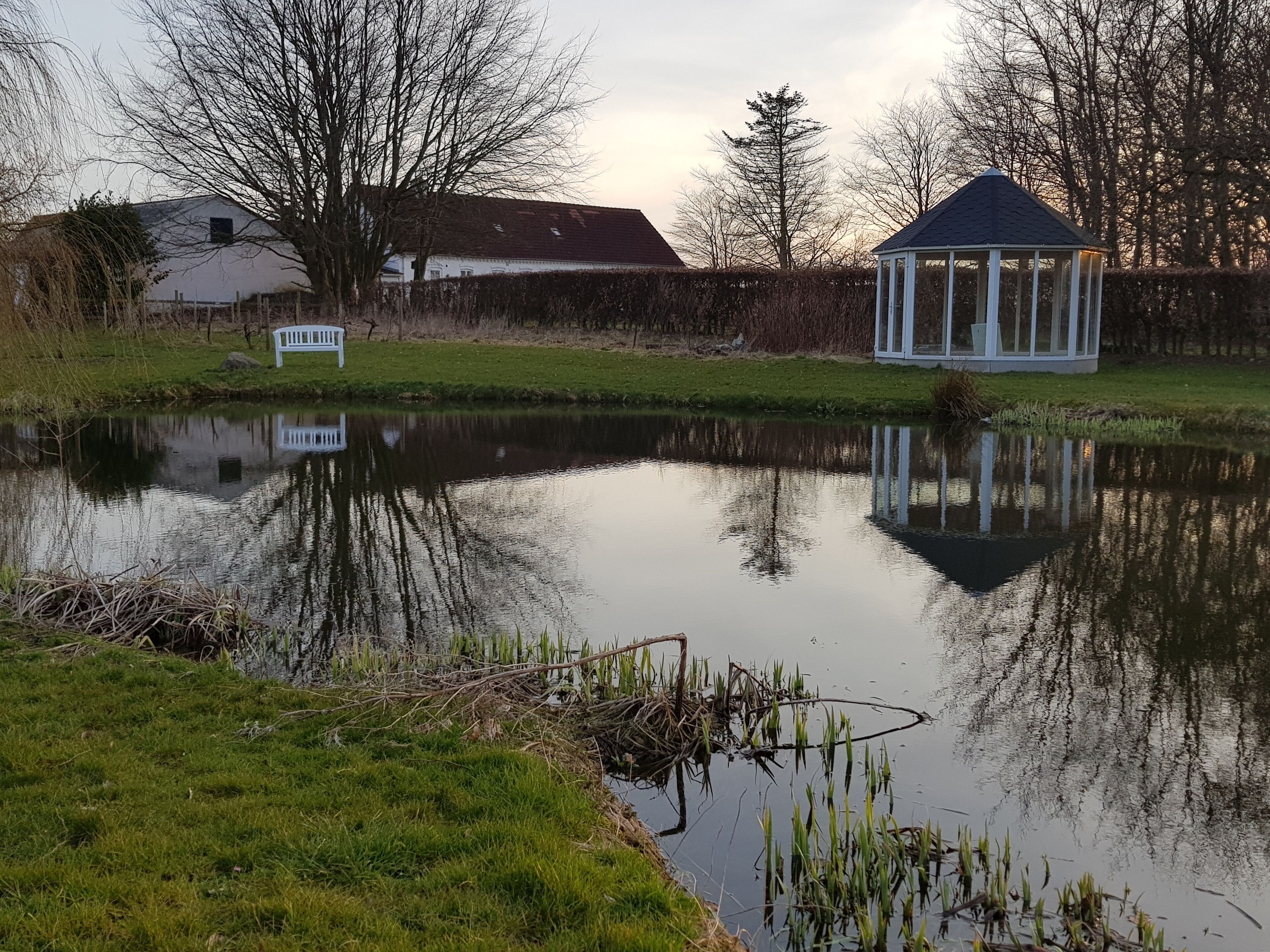 A pond with a gazebo, a bench, and a house in the background.