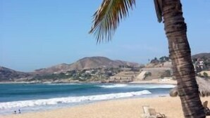 Una playa con una palmera, cielo despejado y montañas a lo lejos.