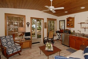 Smart TV, fireplace, video games, DVD player