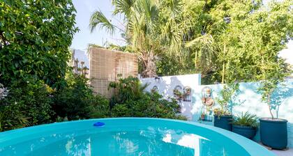 Plunge pool view! studio w/Netflix, wine cooler, etc. .9 mi. from central sq.