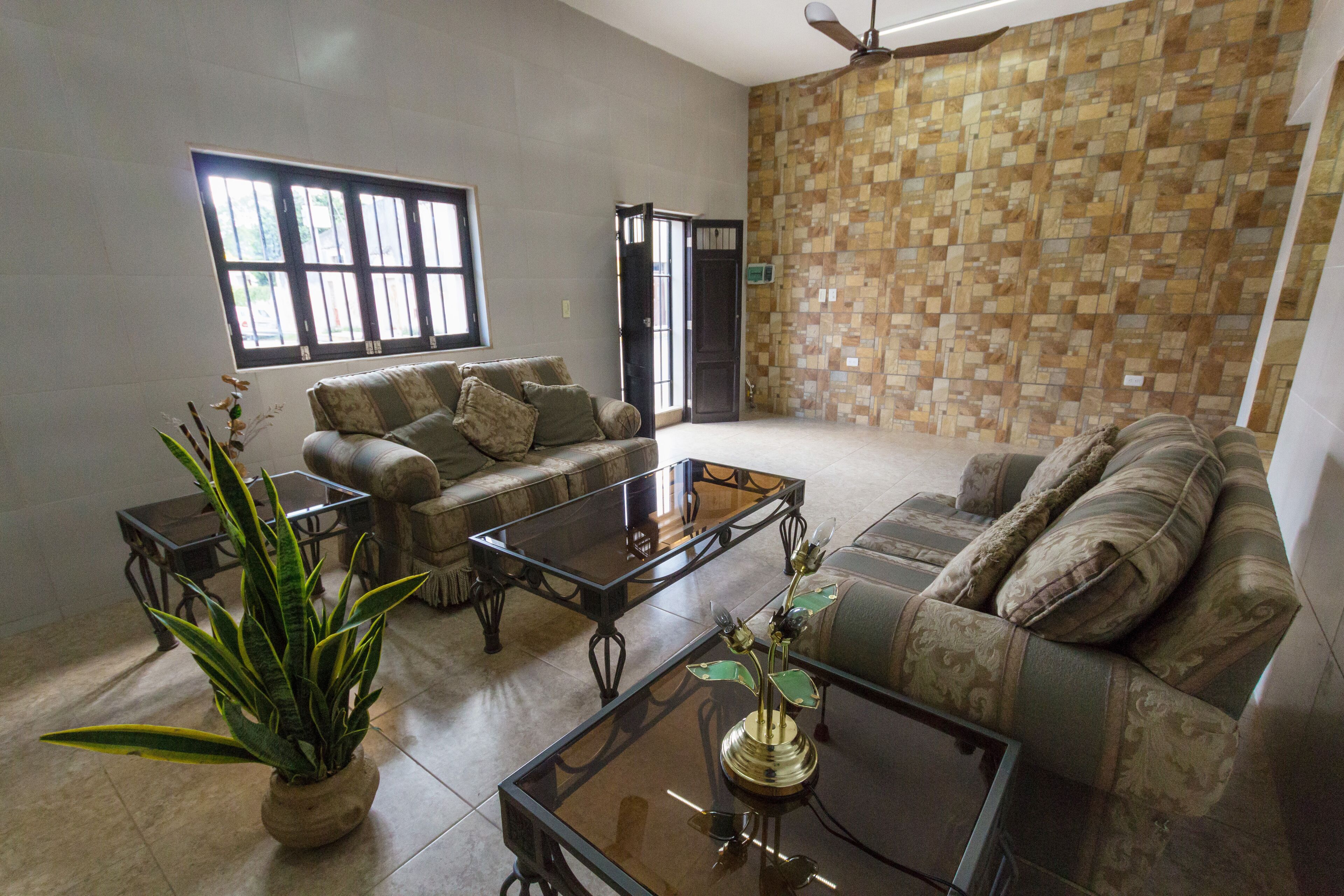 A living room with a sofa, a coffee table, and a potted plant.